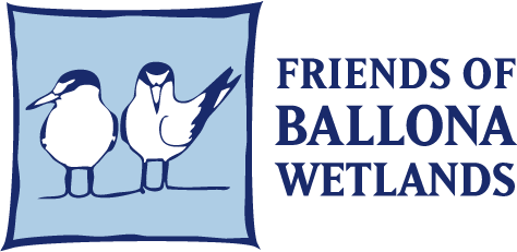 Friends of Ballona Wetlands